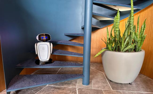 Construtora inova com robô concierge para atender clientes